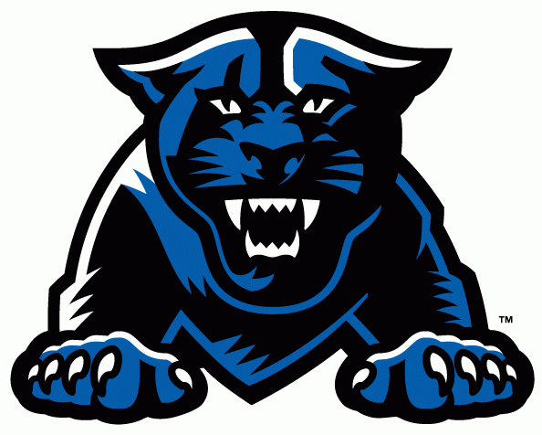 Georgia State Panthers 2010-Pres Partial Logo diy DTF decal sticker